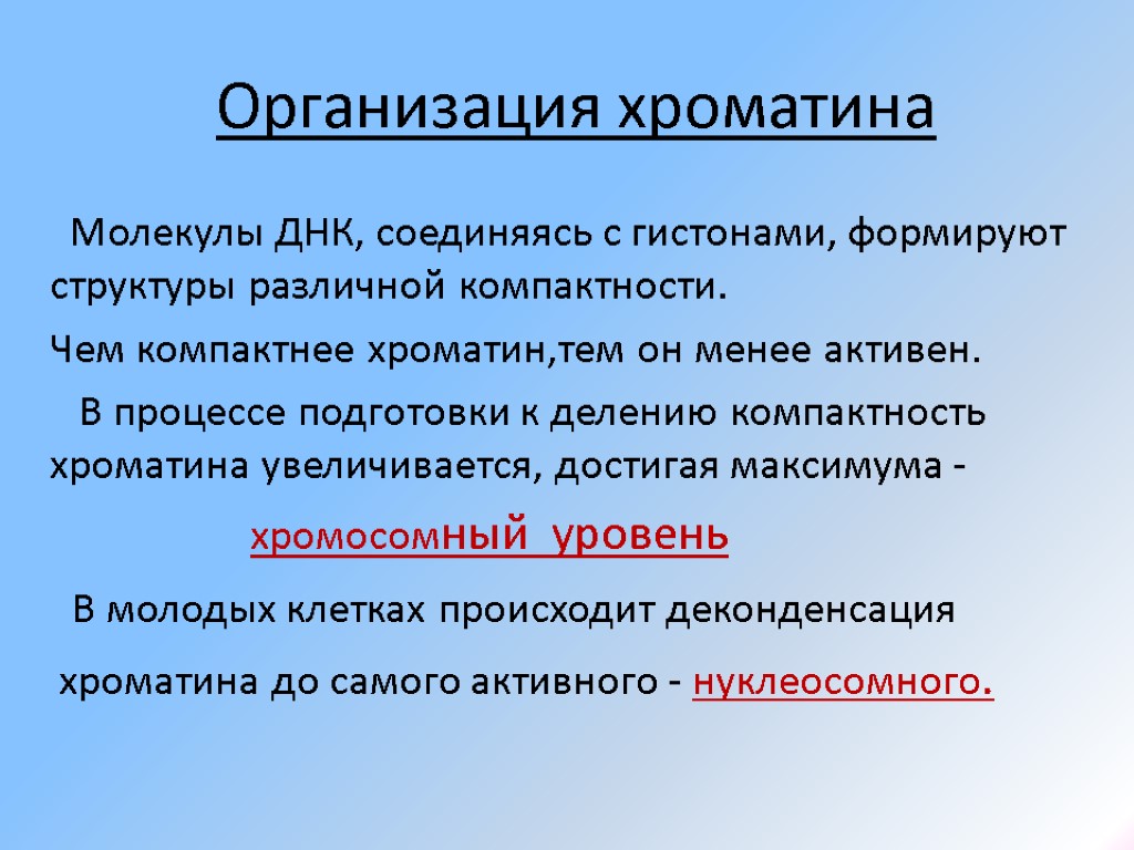 Организация хроматина Молекулы ДНК, соединяясь с гистонами, формируют структуры различной компактности. Чем компактнее хроматин,тем